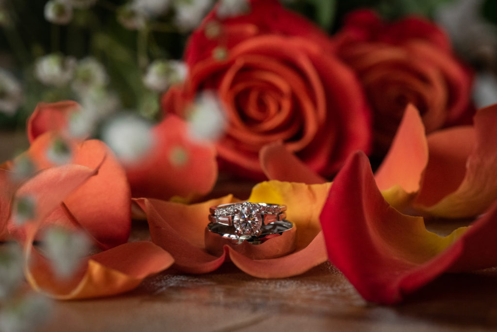 Close-up of wedding bands and engagement ring with roses and rose petals