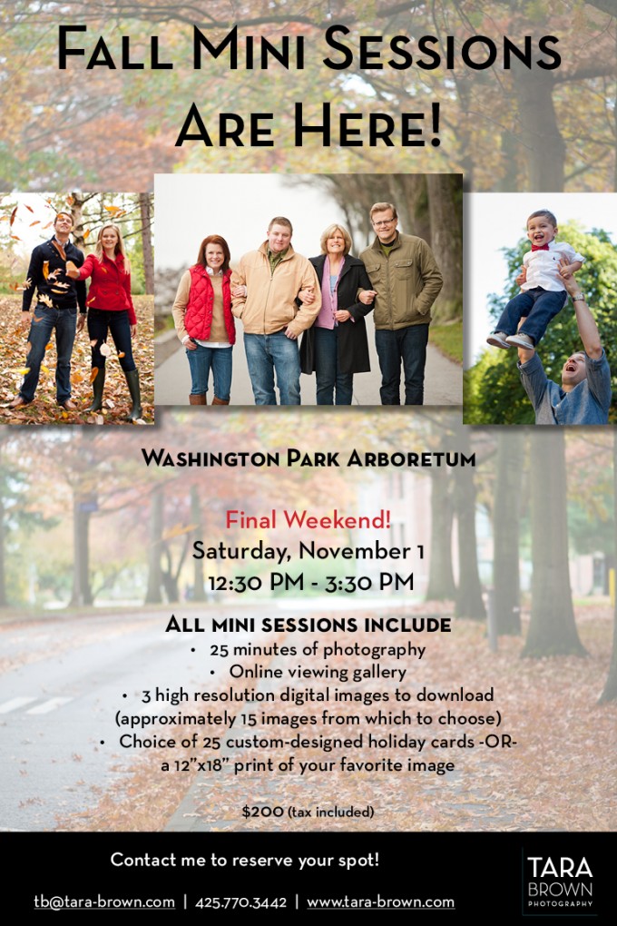 Fall mini sessions at the Washington Park Arboretum with Tara Brown Photography