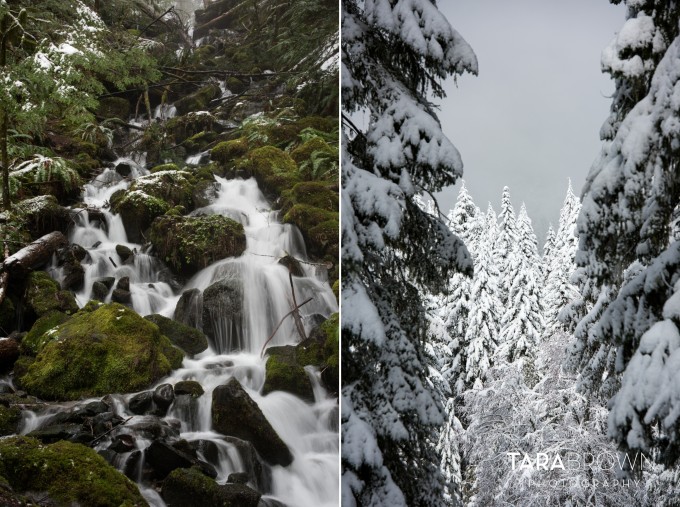 Mount-Rainier-winter-hike_02