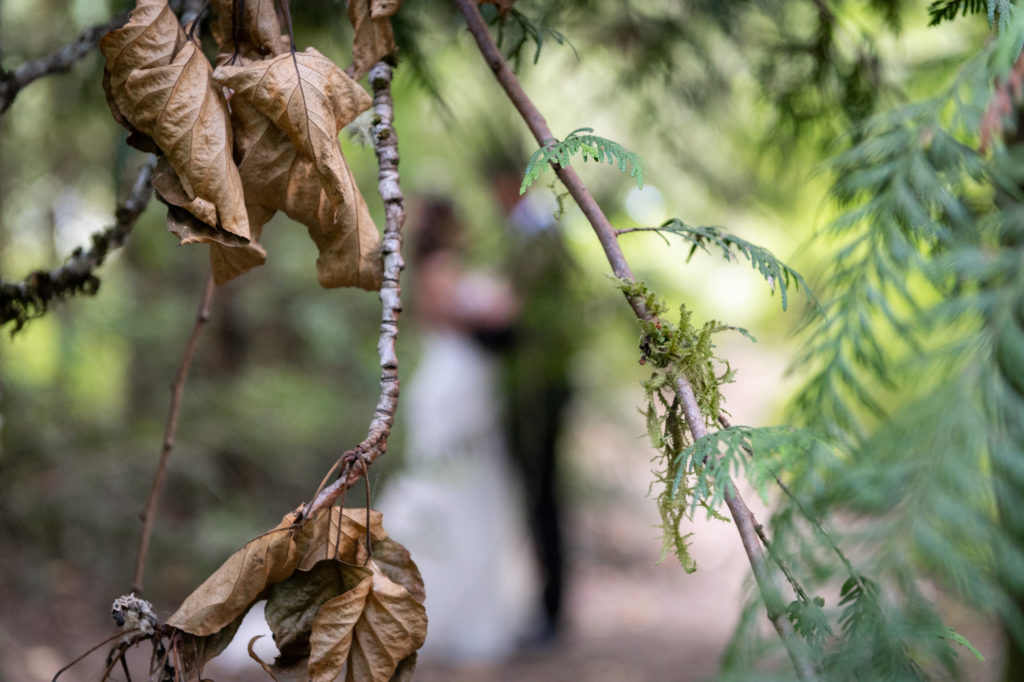 Artistic blurred image of bride and groom with branches in foreground in focus